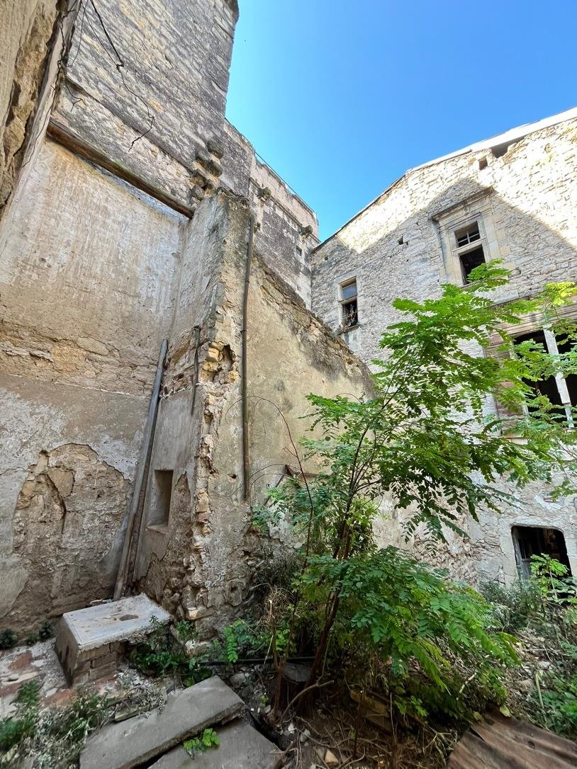 Cour intérieure de l'immeuble n°2, envahie par la végétation